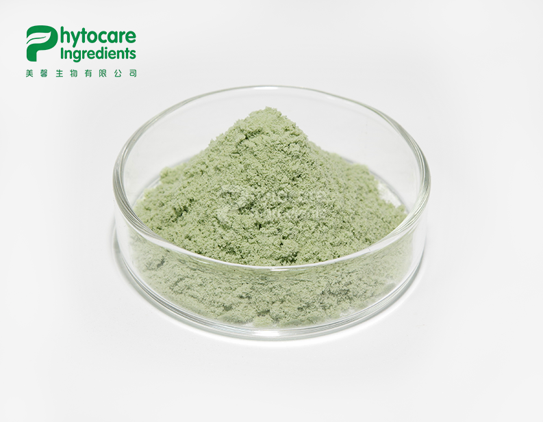 Kiwi Fruit Powder